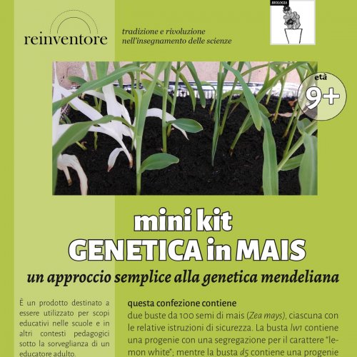 Mini-kit Genetica in Mais